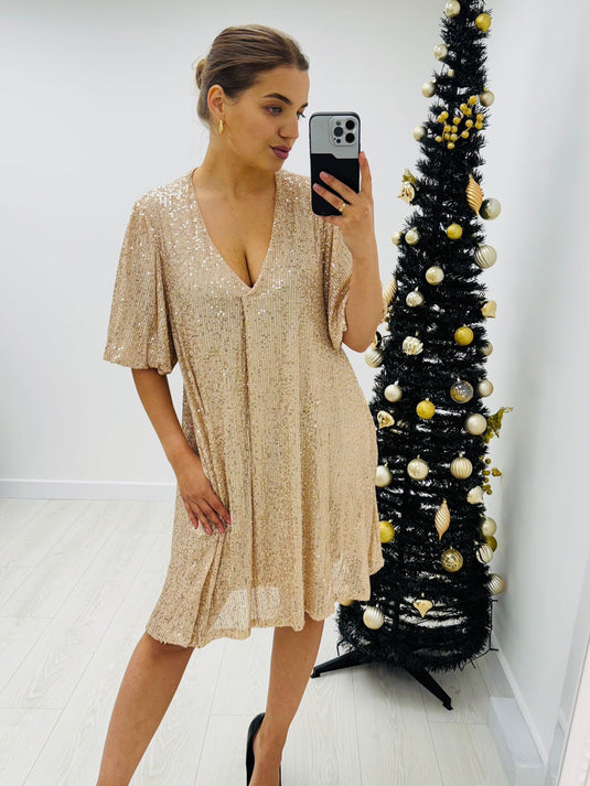 Sasha Sequin Dress