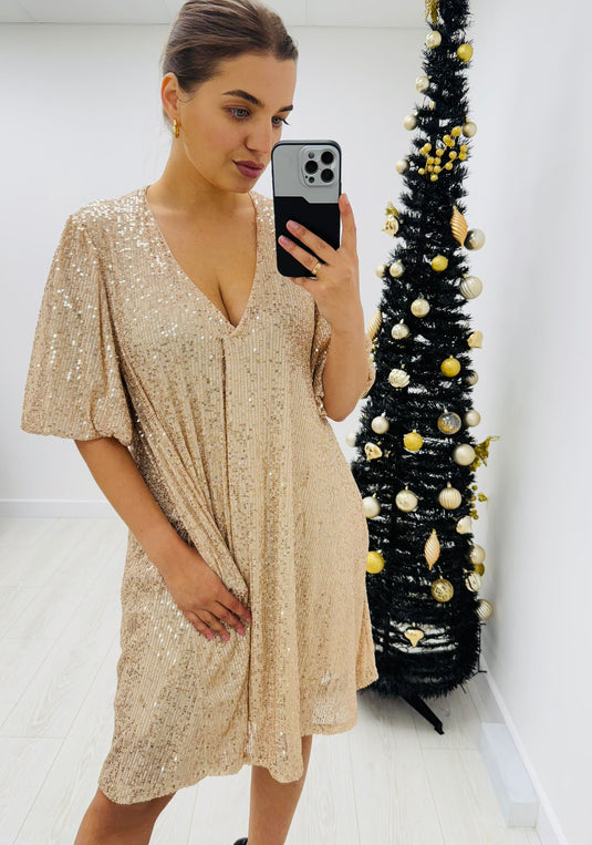 Sasha Sequin Dress