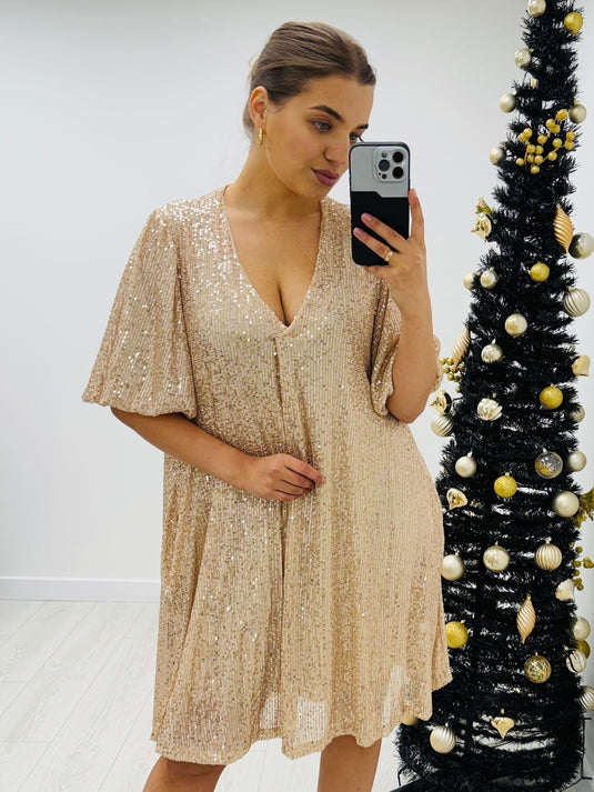 Sasha Sequin Dress